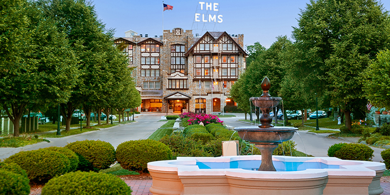 The elms 