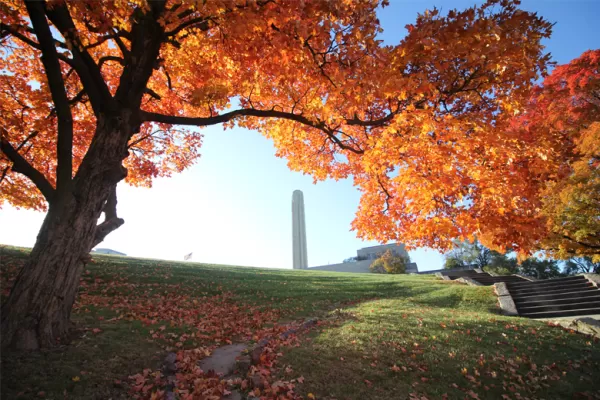 Fall Colors in Kansas City